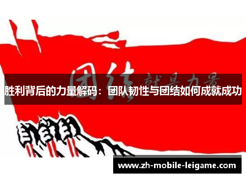 胜利背后的力量解码：团队韧性与团结如何成就成功
