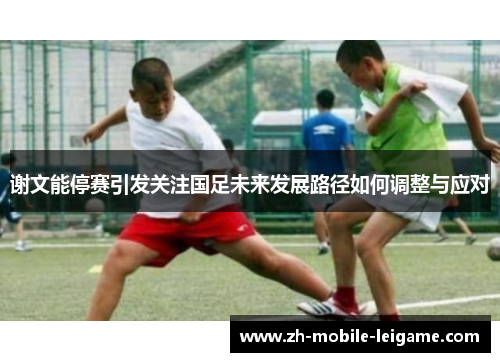 谢文能停赛引发关注国足未来发展路径如何调整与应对