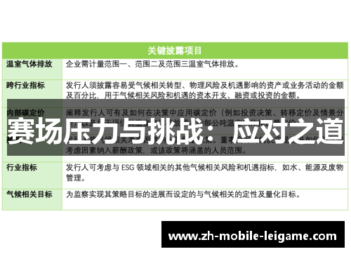 赛场压力与挑战：应对之道