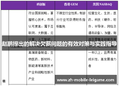赵鹏提出的解决欠薪问题的有效对策与实践指导