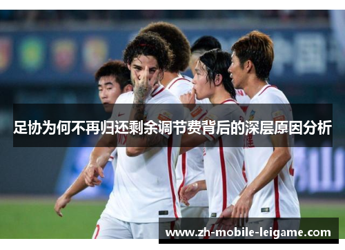 足协为何不再归还剩余调节费背后的深层原因分析